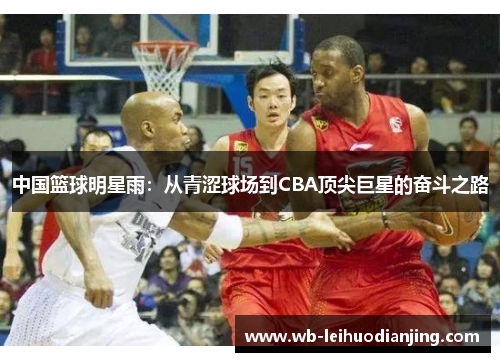 中国篮球明星雨：从青涩球场到CBA顶尖巨星的奋斗之路