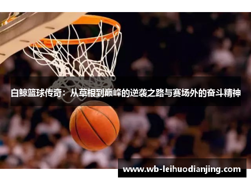 白鲸篮球传奇：从草根到巅峰的逆袭之路与赛场外的奋斗精神