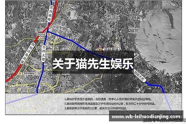 关于猫先生娱乐